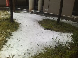 春の積雪