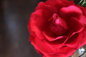 2015年初Blogは、、、