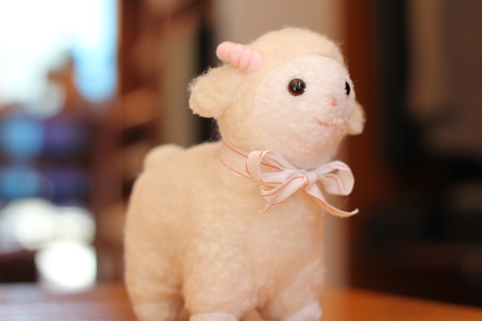Wool洗いました!!